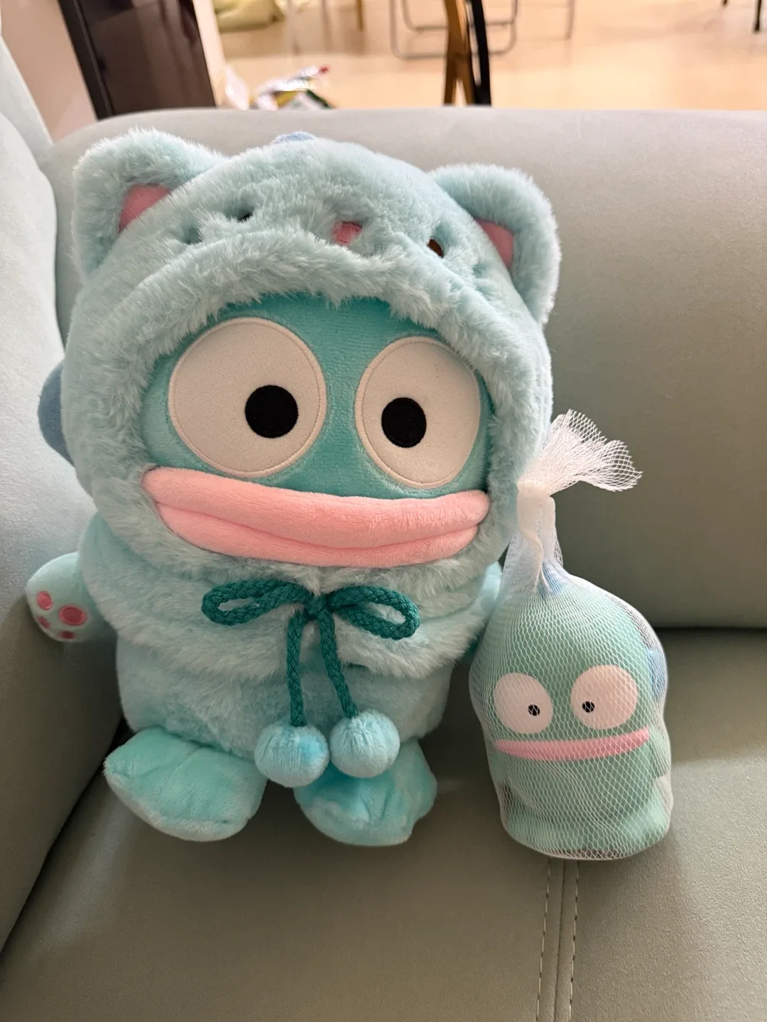효동이