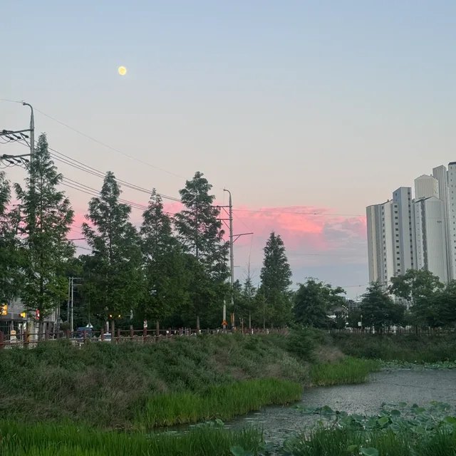 뺑아리꽁