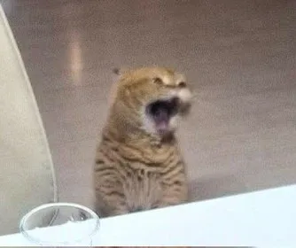 땡자