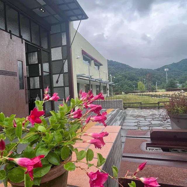 레인