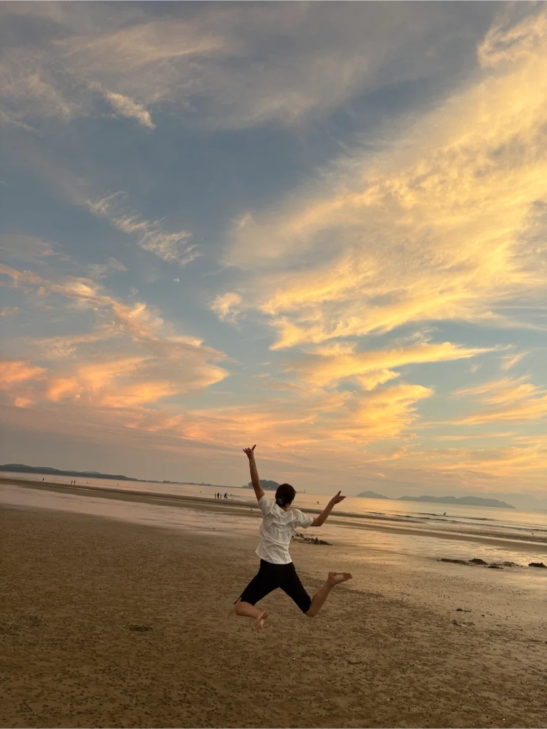 노블