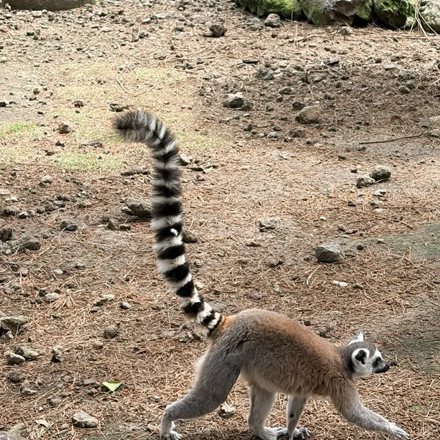 정리하자구
