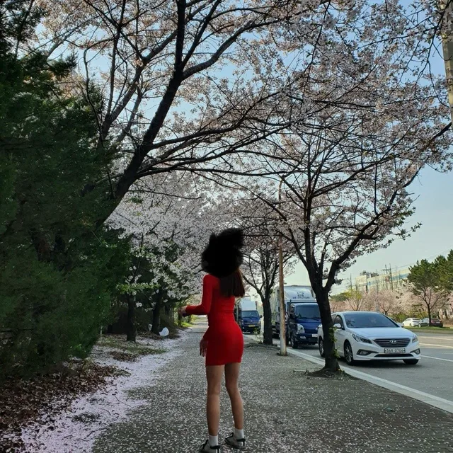 냥냥