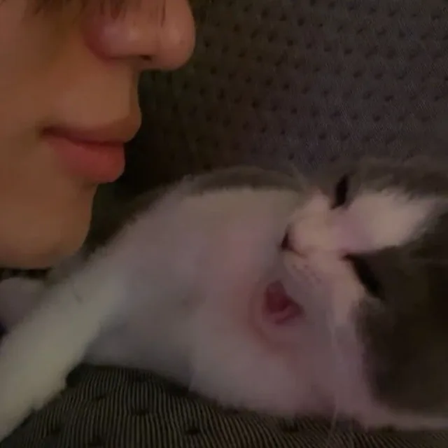 니나