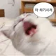 옹송