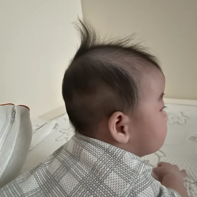 profile