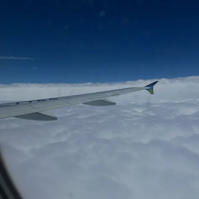 Hi