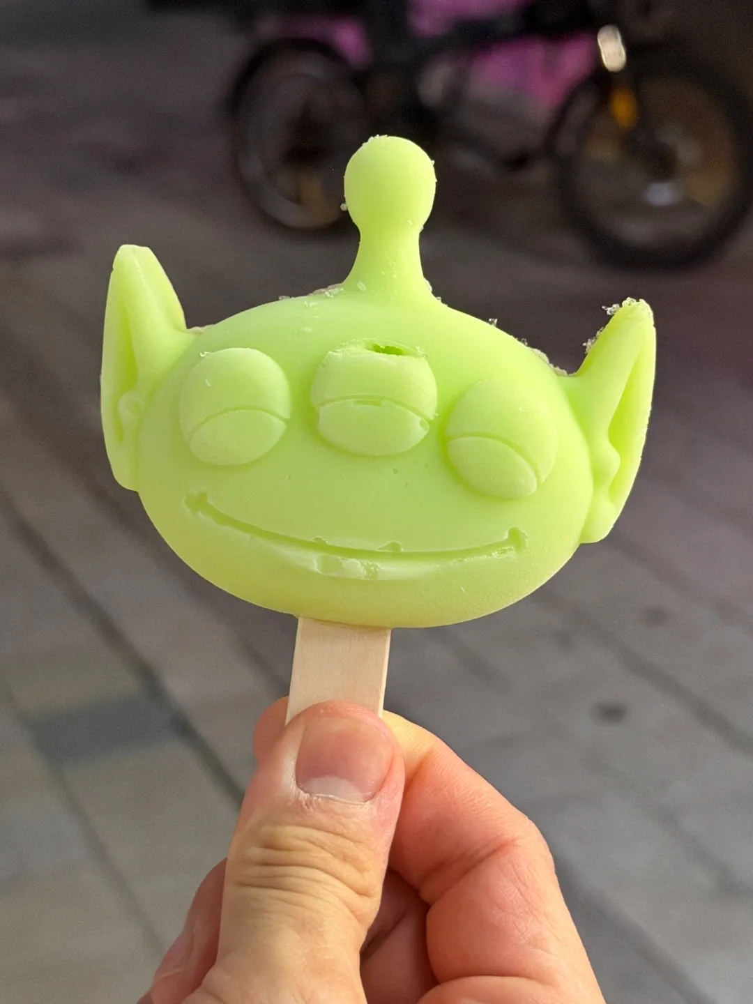 엔프피댕댕이