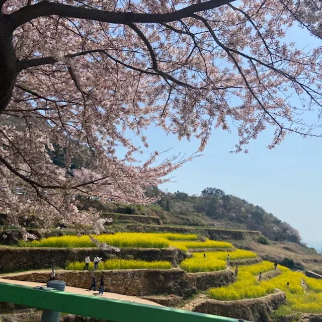 시도엄마
