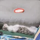 더위먹은놈