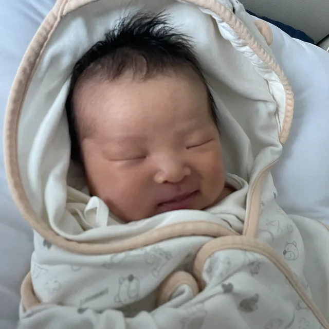 넝굴