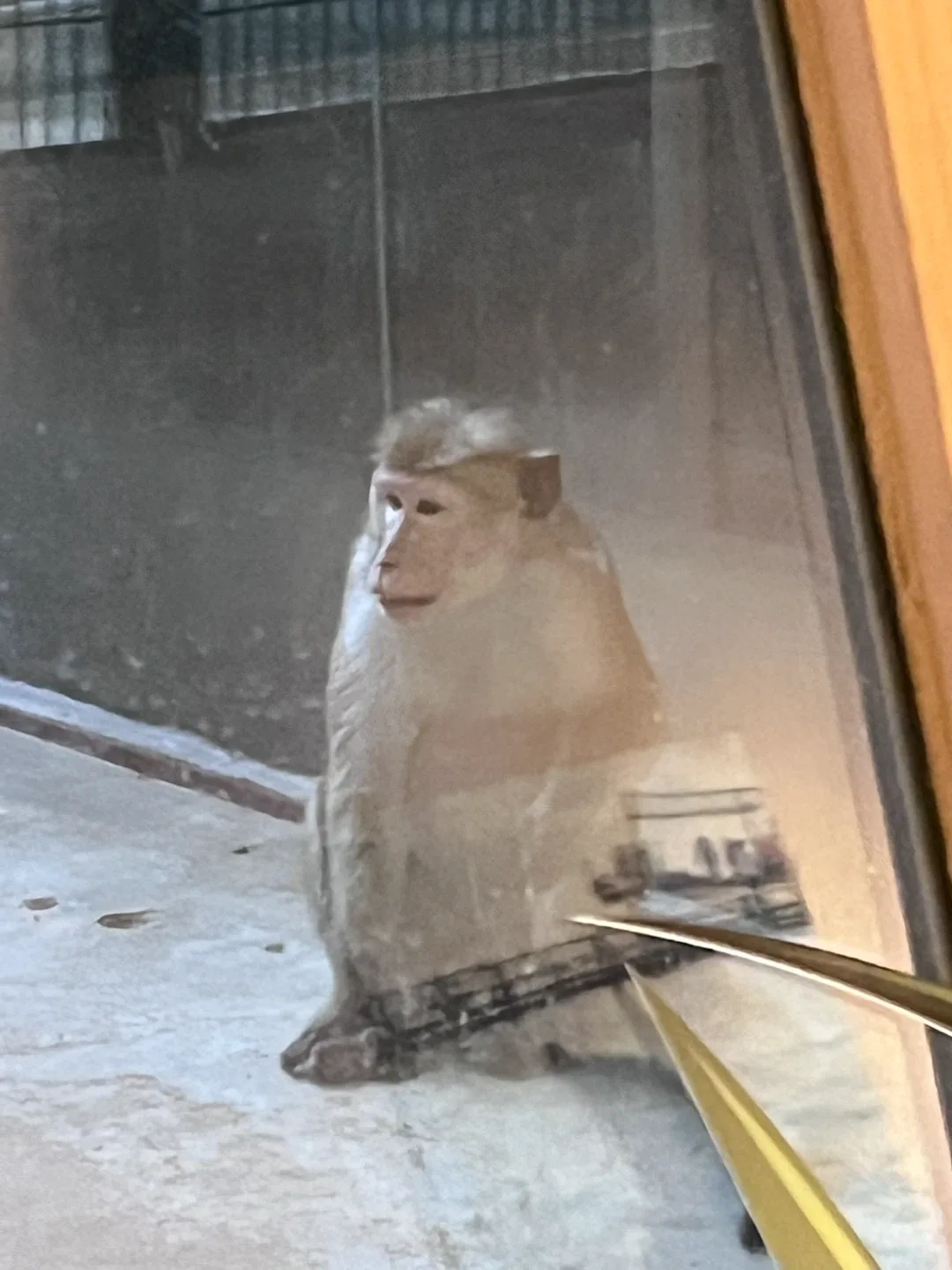 이이러