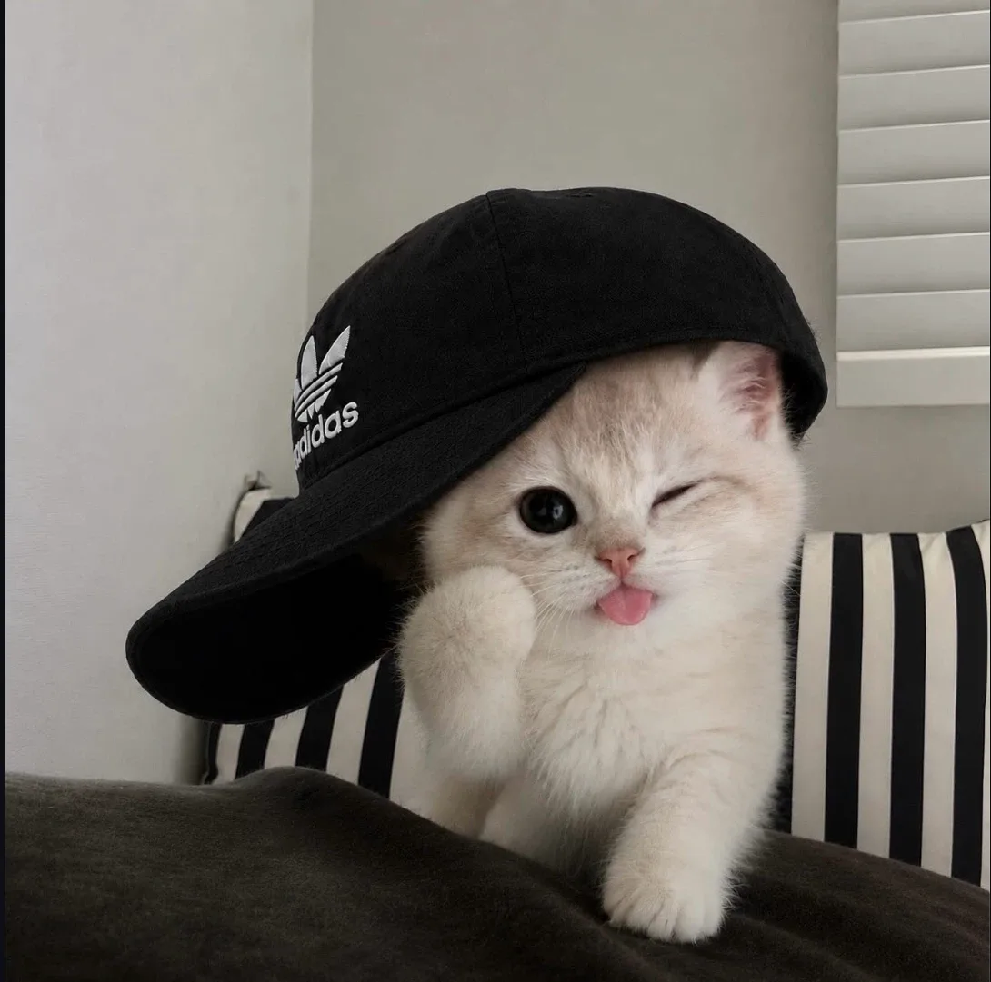 하루