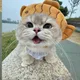 당근감자