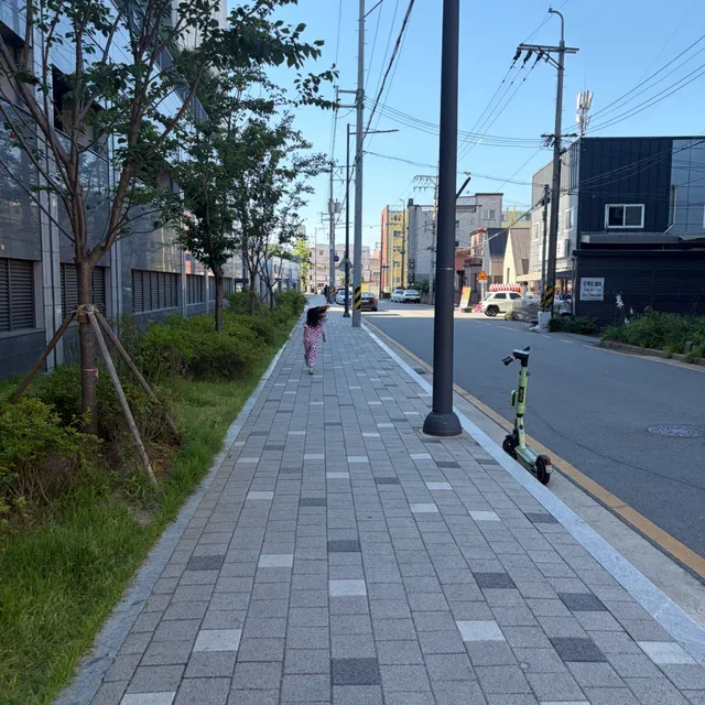 율파파