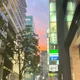 자몽