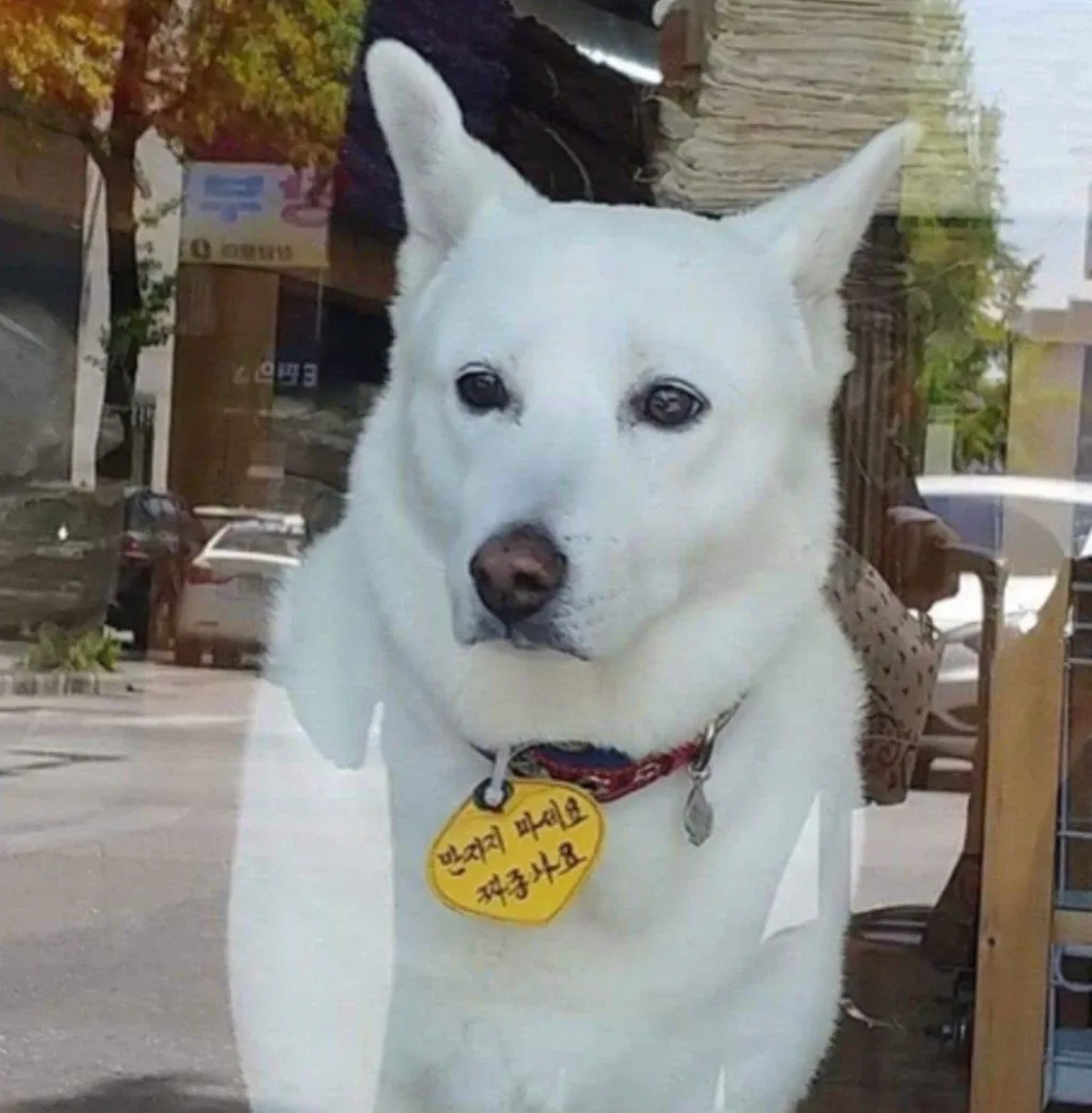 히히