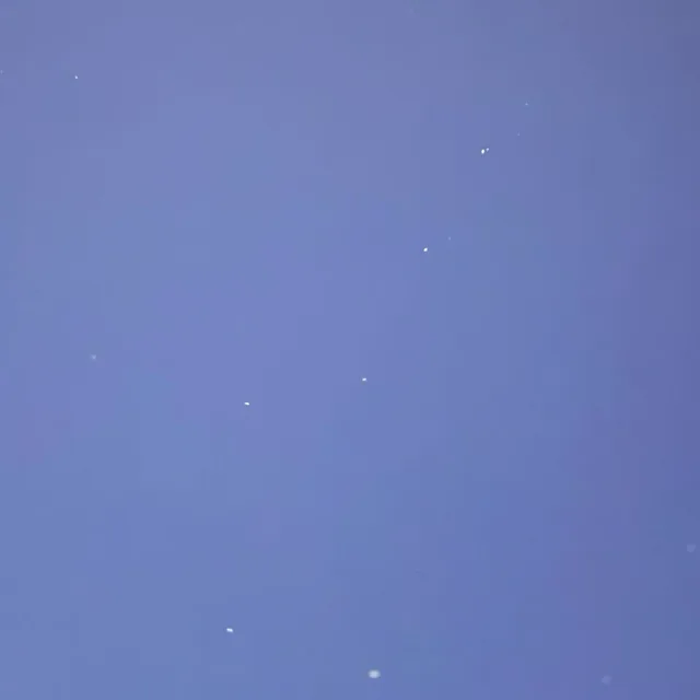 해피데이