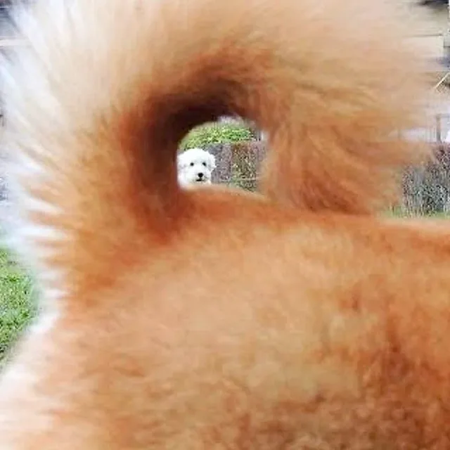아아좋아