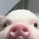 맹구