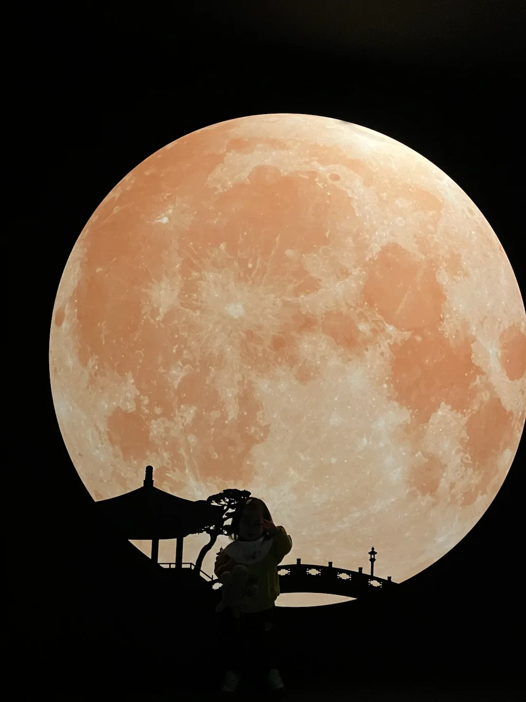 Moon216