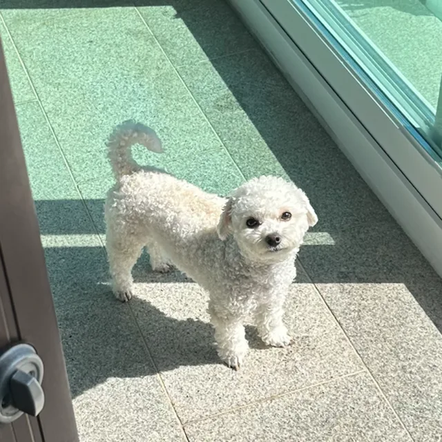 나지베안가