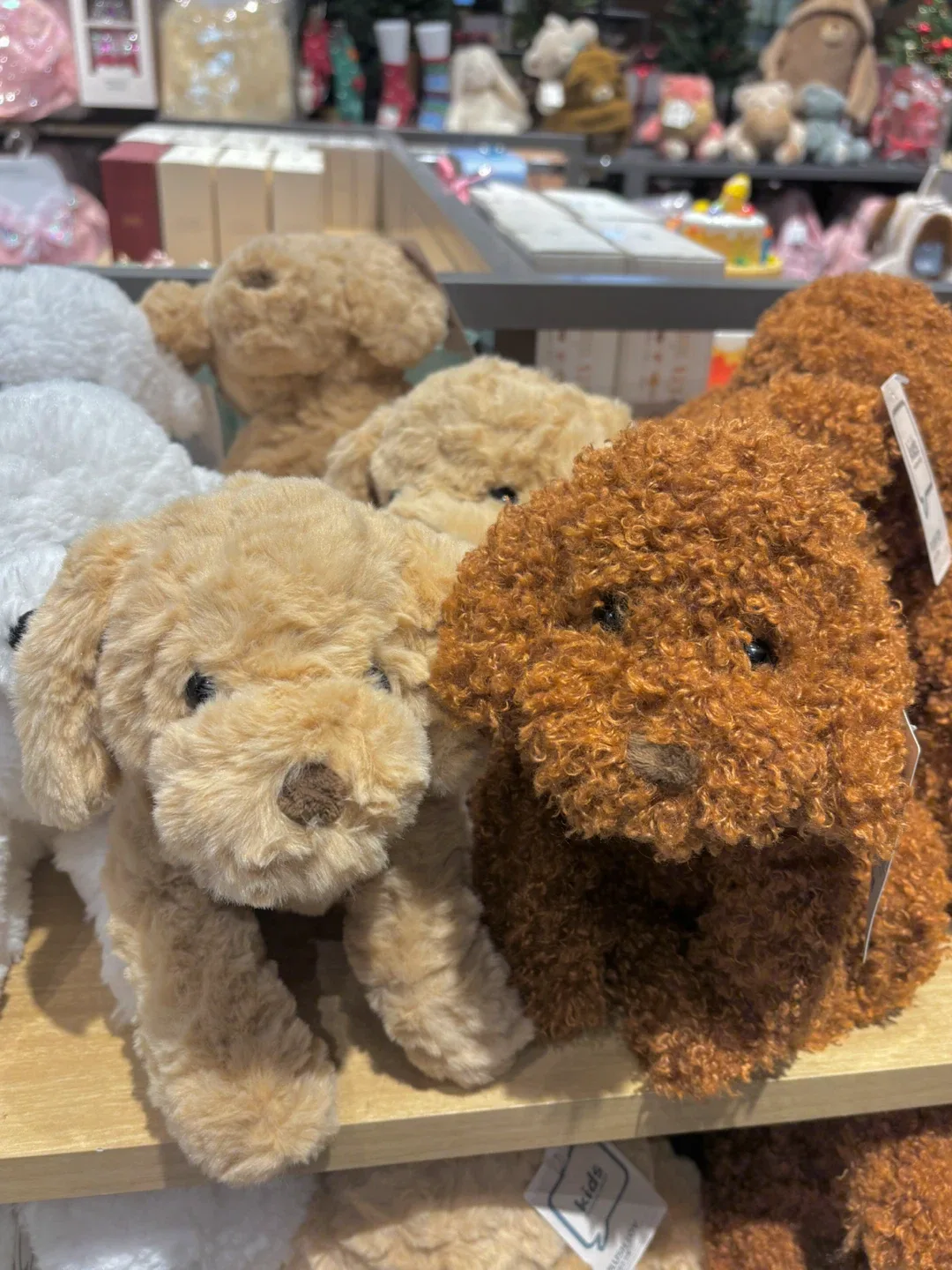 대왕푸들
