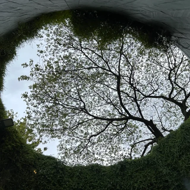 비아찬란