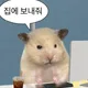 율루