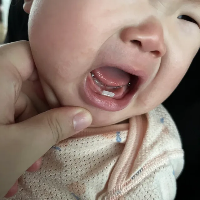 동상이몽