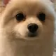 철이