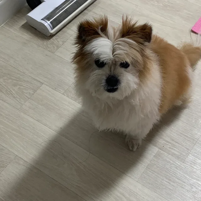 봄봄봄