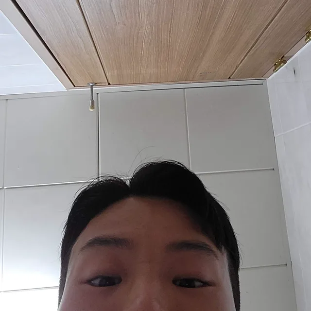 제철황도