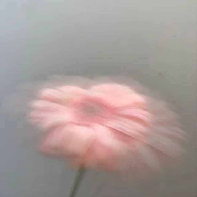 제니제니죄니