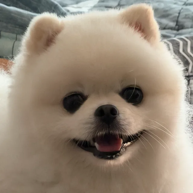 직거안해요거래외채팅차단