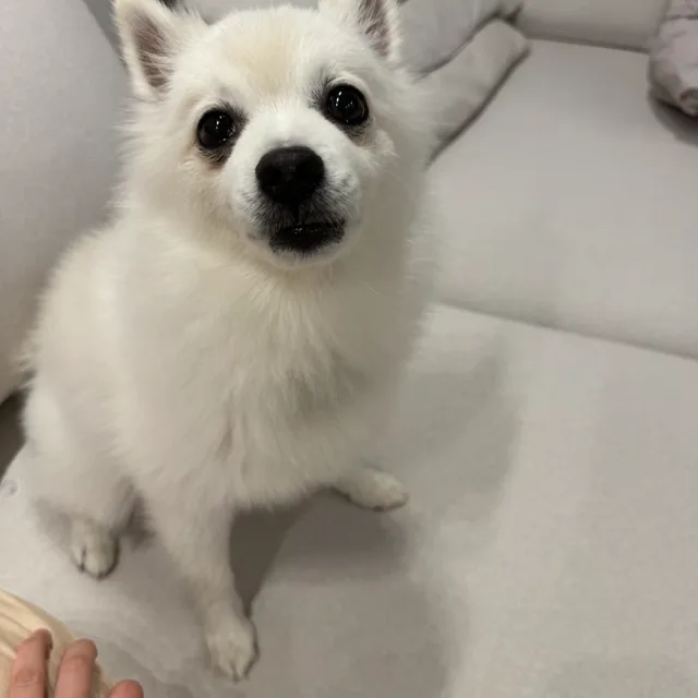 핼핼핼