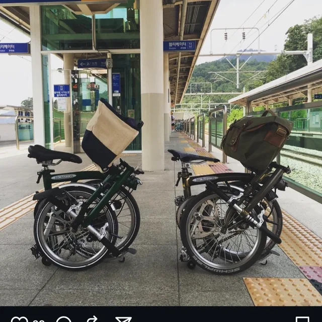 그린