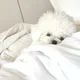 성이