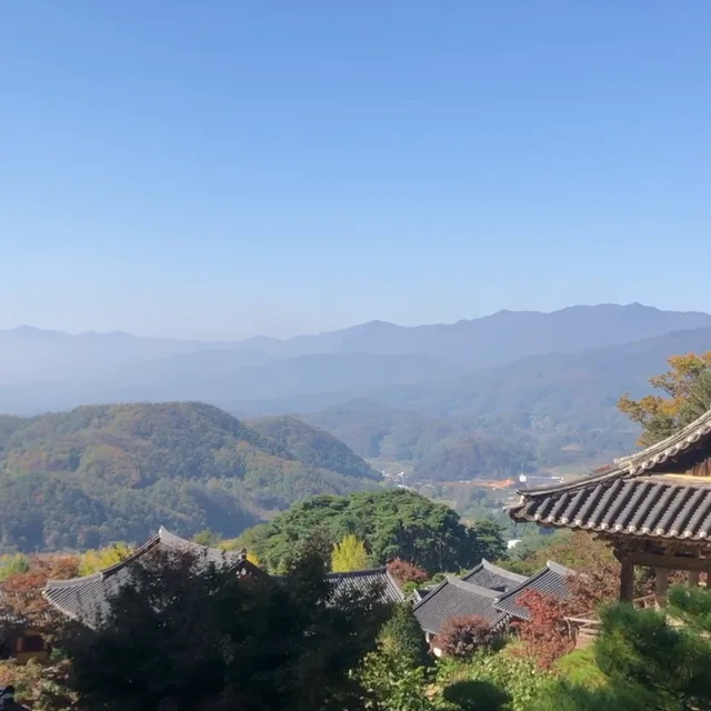 핑크