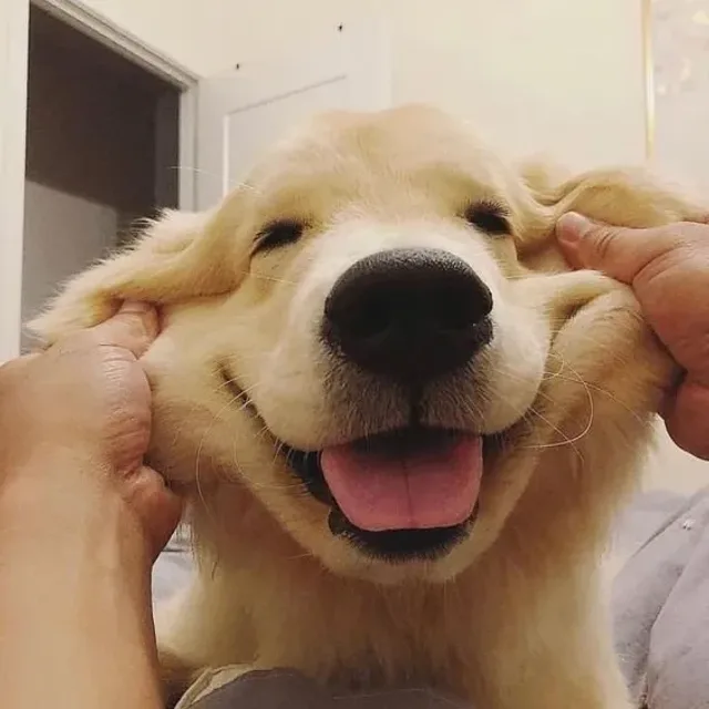 챱츄챱챱츄