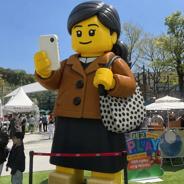 솜레고