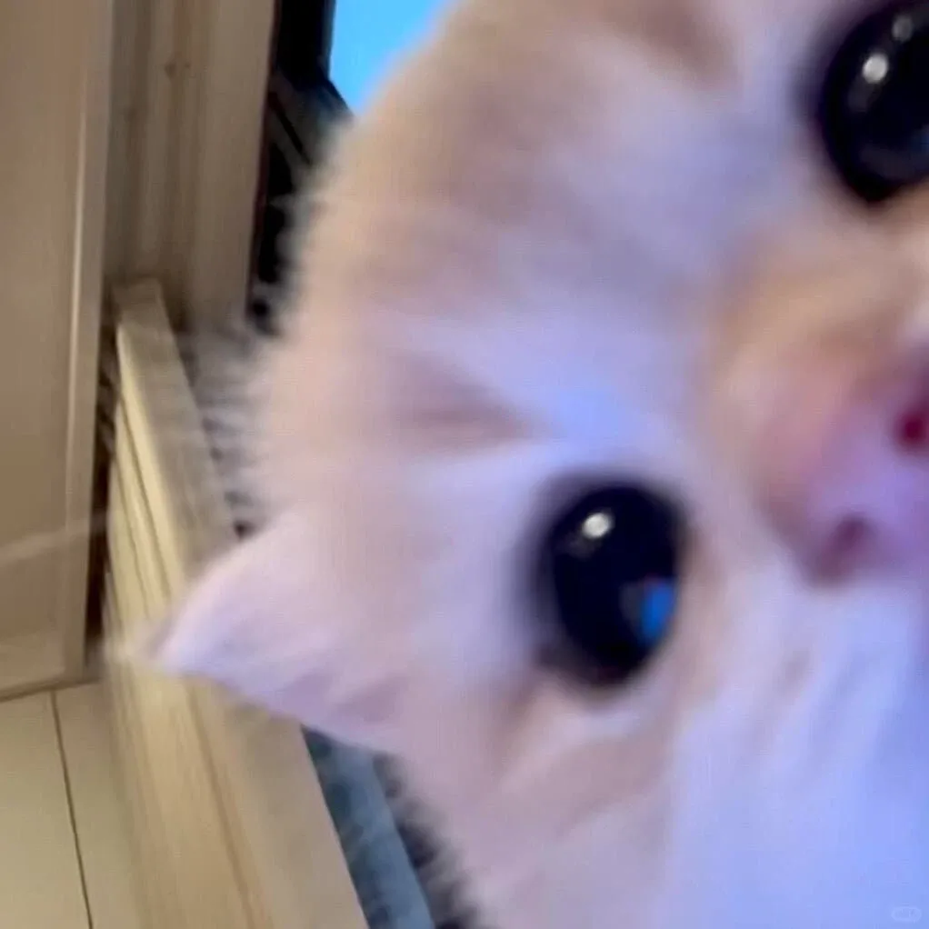 호호