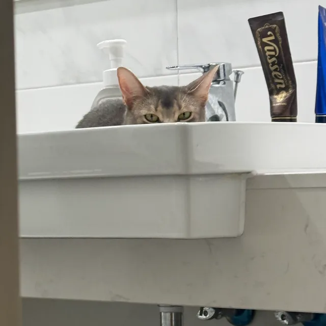 김딴딴