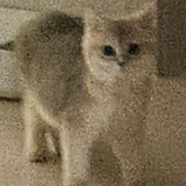 영꾸