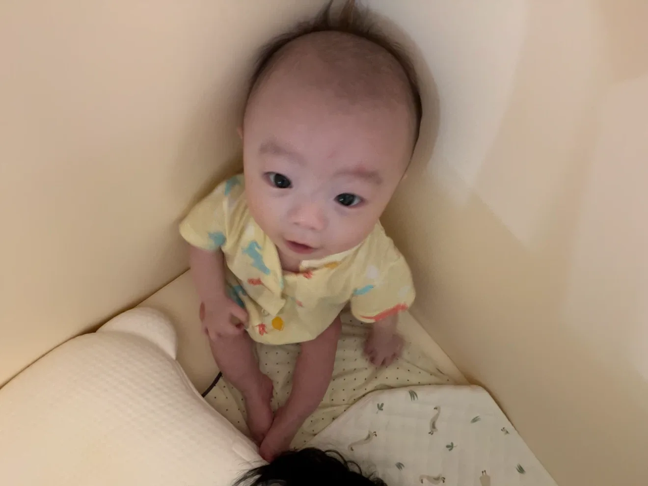땔깅