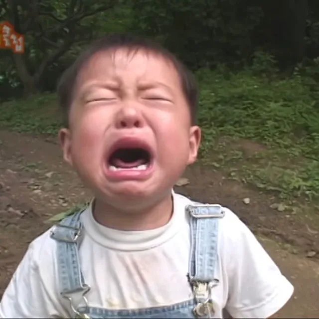 숭이