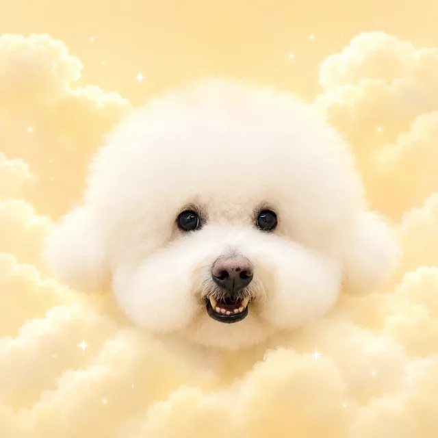 짱누