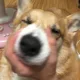 치킨무