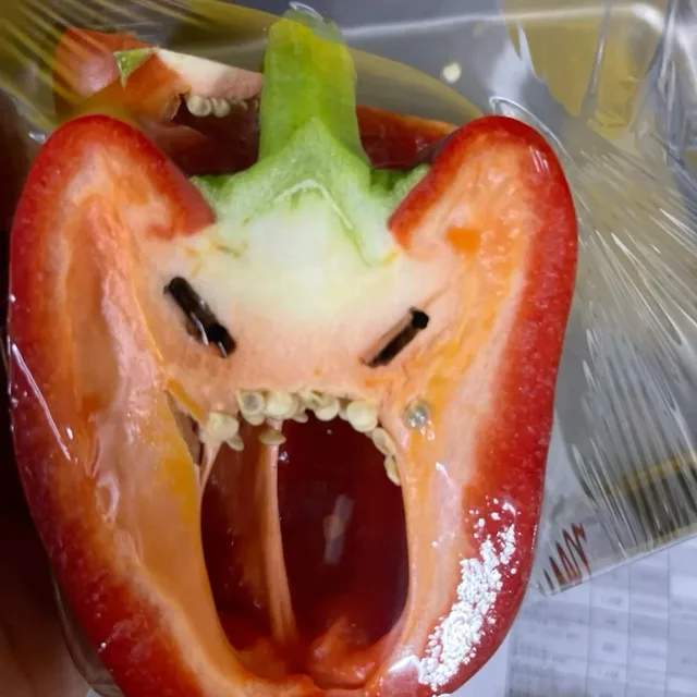 파프리카
