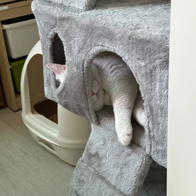 둥근해또떳네